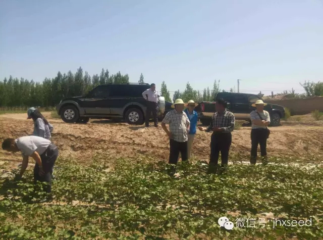 557fdd4479b3c J9国际集团(中国)-官方网站